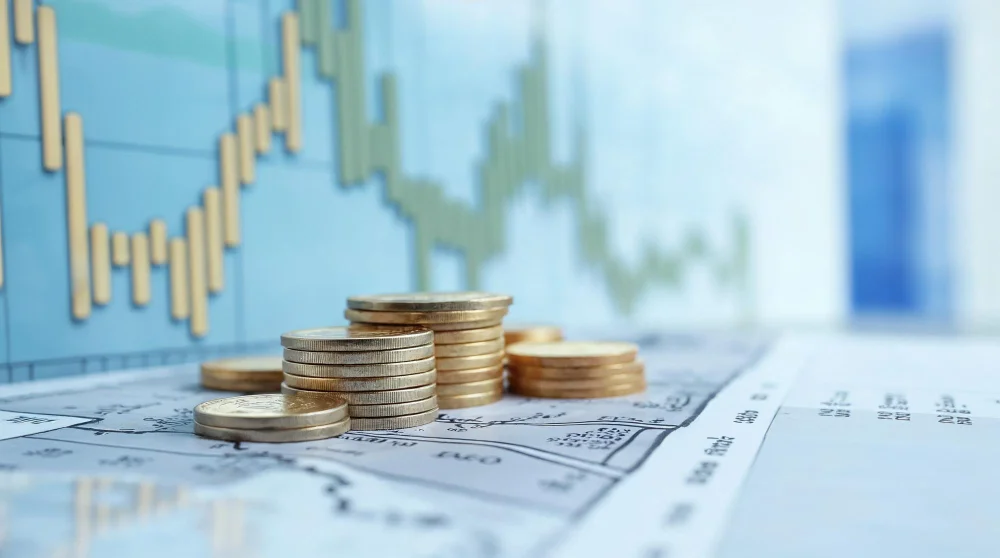 Proporciona recursos y estrategias sobre la importancia de la planificación financiera a largo plazo